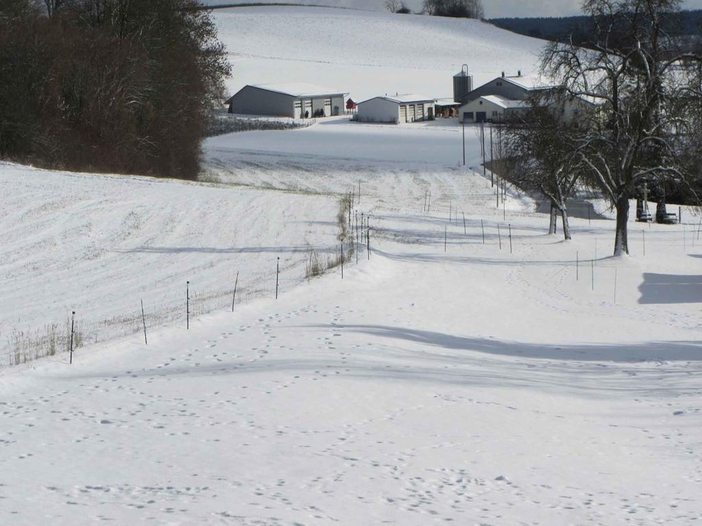 Ferienwohnung Am Weinberg Ostrach Kültér fotó