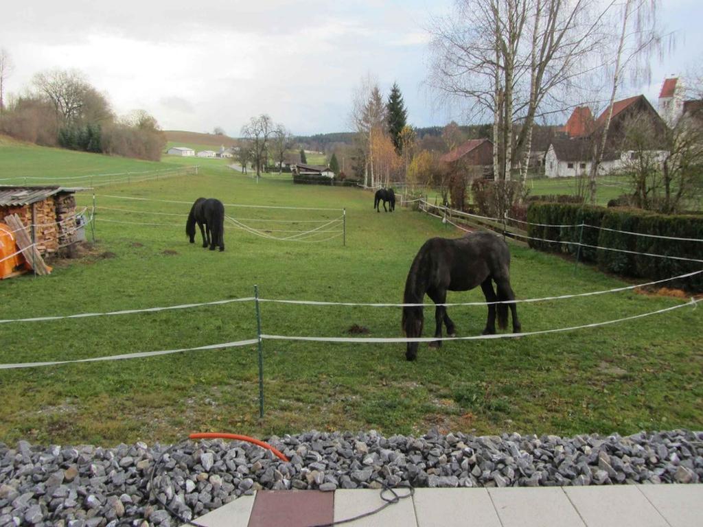 Ferienwohnung Am Weinberg Ostrach Kültér fotó